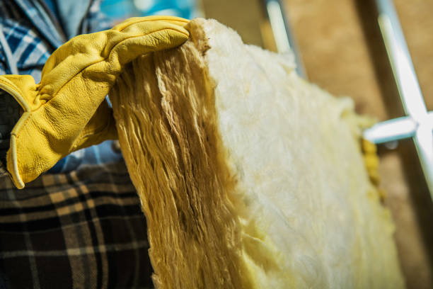 Best DIY Insulation Kits and Guidance in Franklin, KY
