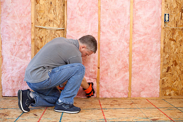 Best Geographic-Specific Insulation Services in Franklin, KY